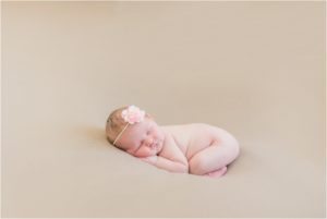 newborn girl havre studio 0117